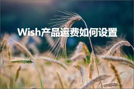 璺ㄥ鐢靛晢鐭ヨ瘑:Wish浜у搧杩愯垂濡備綍璁剧疆