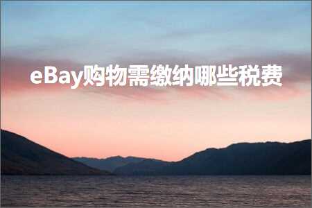 璺ㄥ鐢靛晢鐭ヨ瘑:eBay璐墿闇€缂寸撼鍝簺绋庤垂