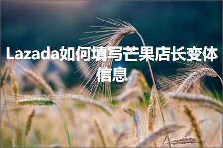 璺ㄥ鐢靛晢鐭ヨ瘑:Lazada濡備綍濉啓鑺掓灉搴楅暱鍙樹綋淇℃伅